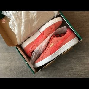 Brand new with box puma shoes